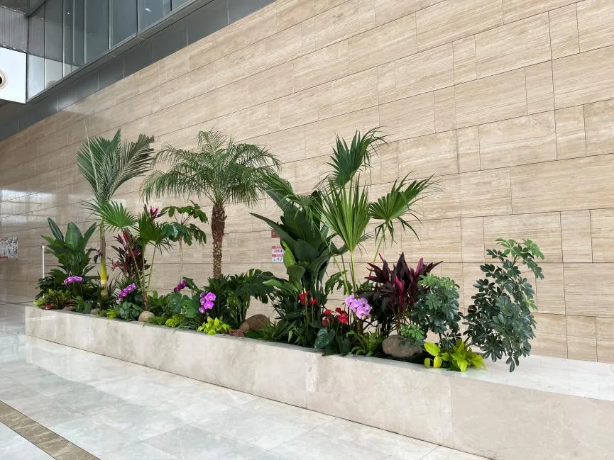 超惊喜！宁波余姚花卉租摆，价格亲民超划算！