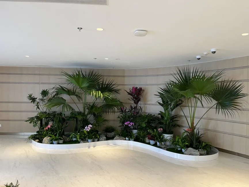 宁波江北绿化养护，服务超棒，你知道有多好吗？